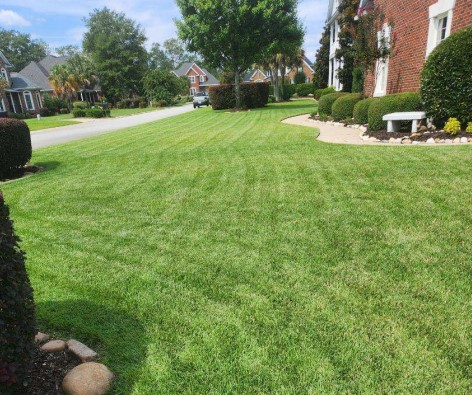 NPK Lawn Sign Lawn Treatment Services