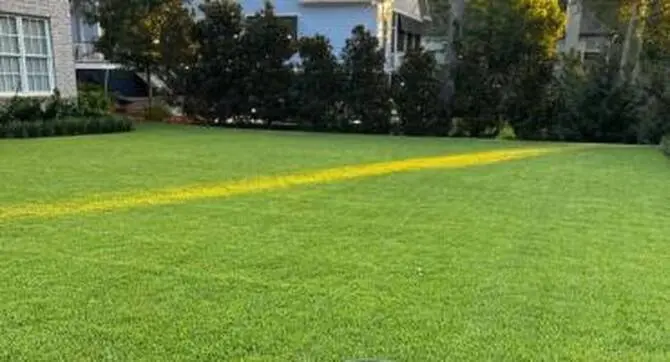 Core Aeration Services green lawn after core aeration service