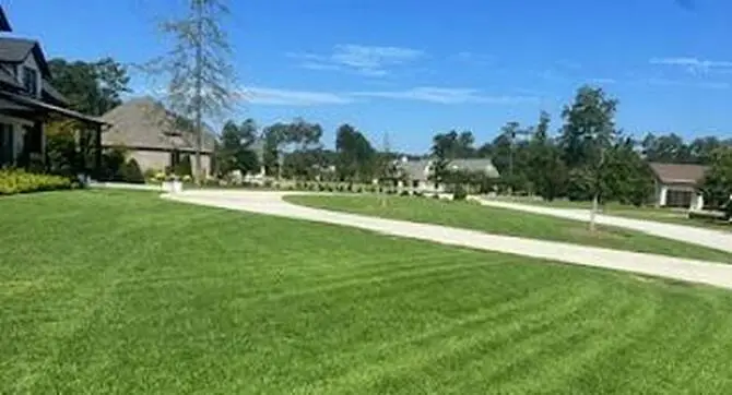 Lawn Treatment Services green lawn after professional lawn treatment service